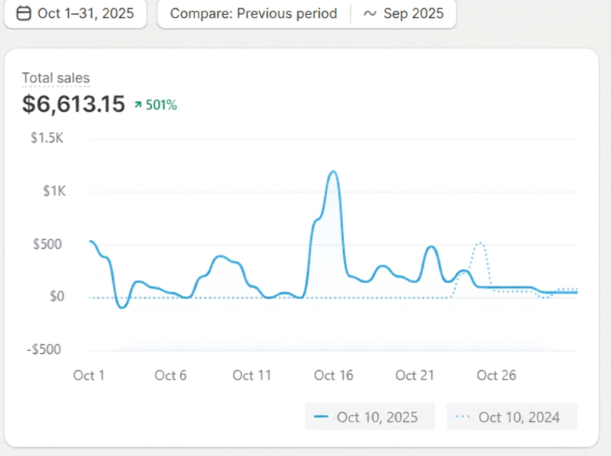 Shopify store sales dashboard from a customer